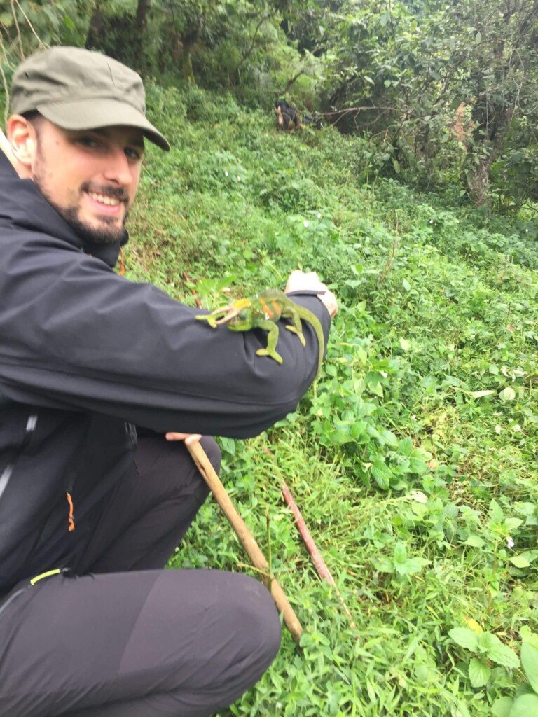 A person wearing a cap and jacket kneels on grassy terrain in a forest, holding a stick. A chameleon is perched on their arm. The background is lush with green plants and trees. Uganda Amatsiko Tours
