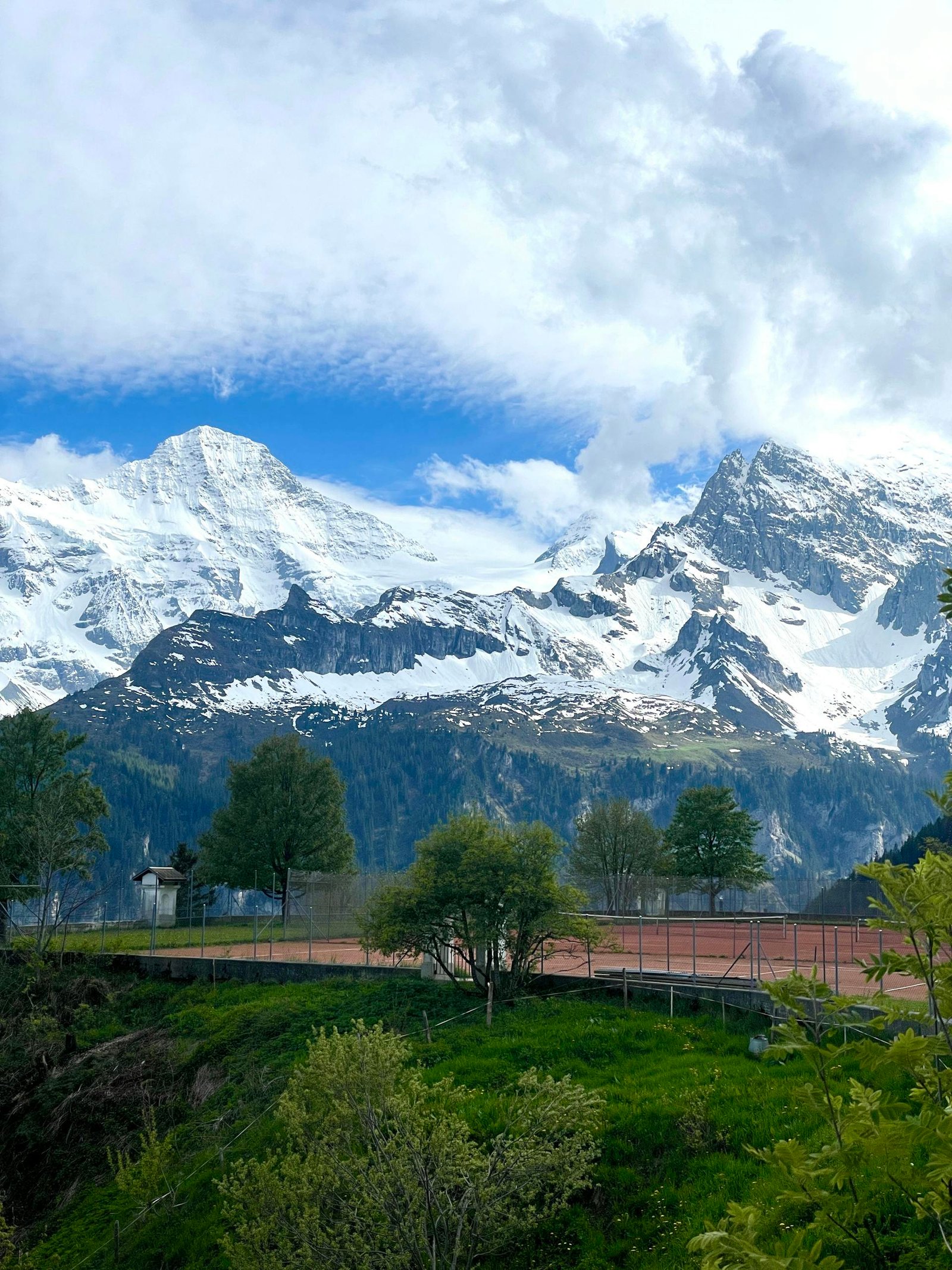 Breathtaking view of snow-capped mountains and lush greenery under a bright blue sky.