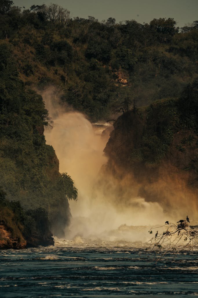 A breathtaking view of a powerful waterfall flowing through a dense forest setting, showcasing nature's beauty.