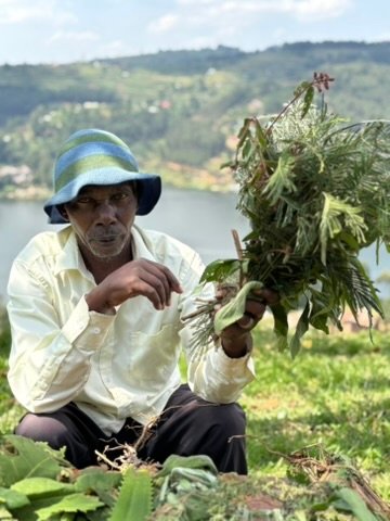 Uganda cultural experiences