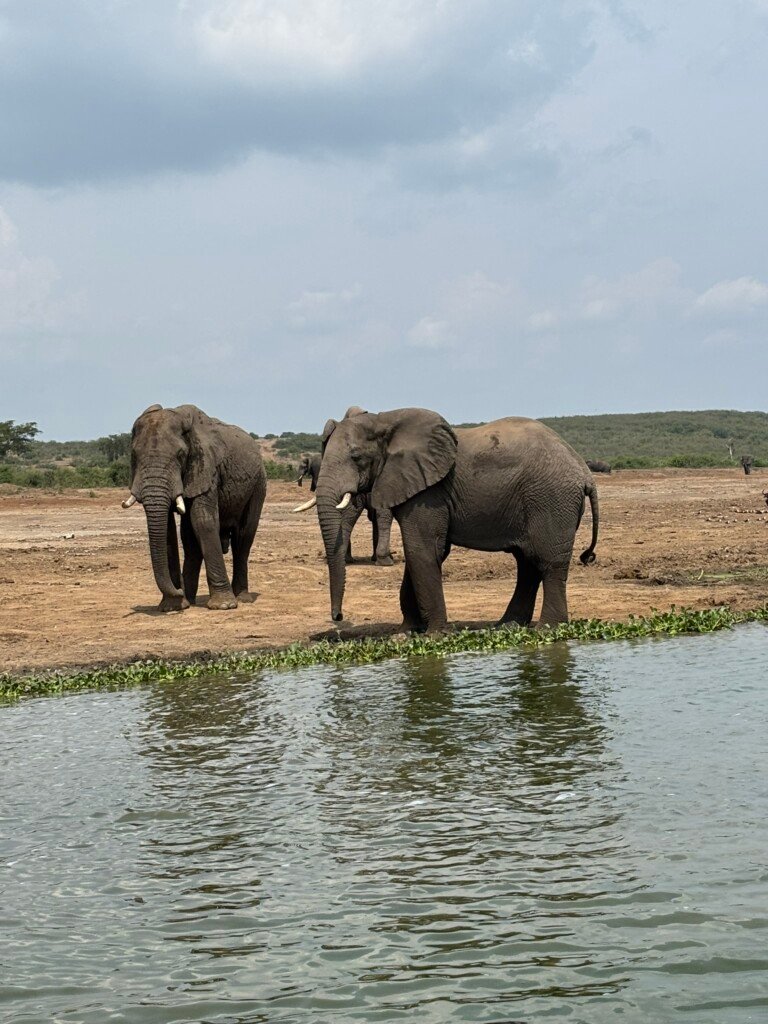 Water safari Uganda