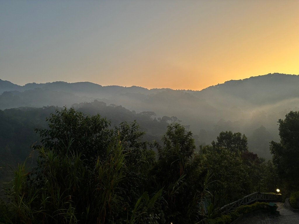 Bwindi Impenatrable Forest