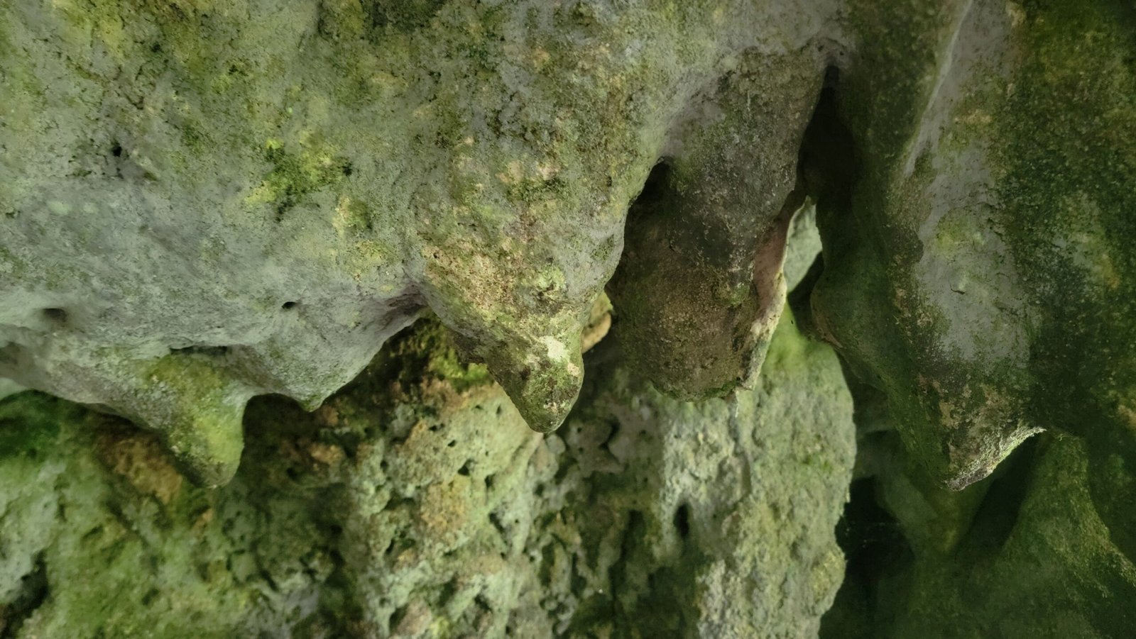 Amabere Ga Nyinamwiru Uganda