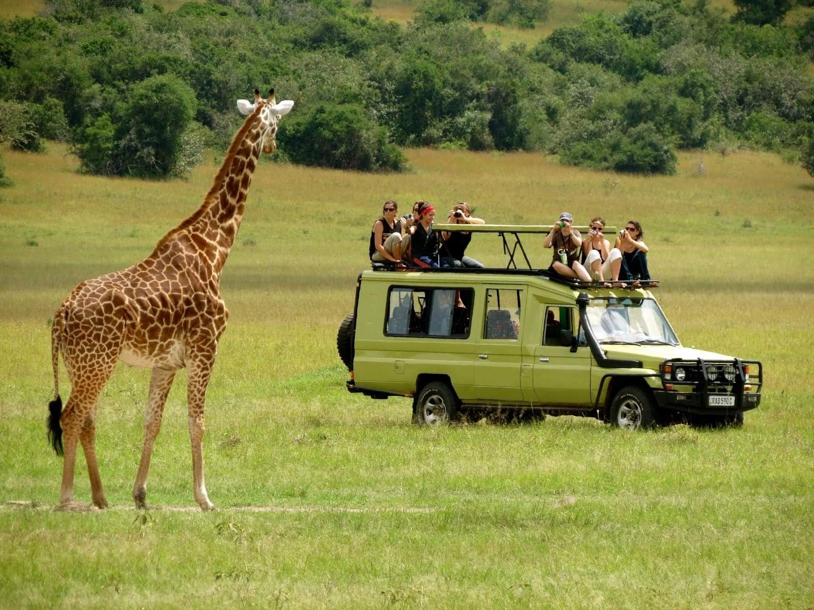 Uganda Holidays