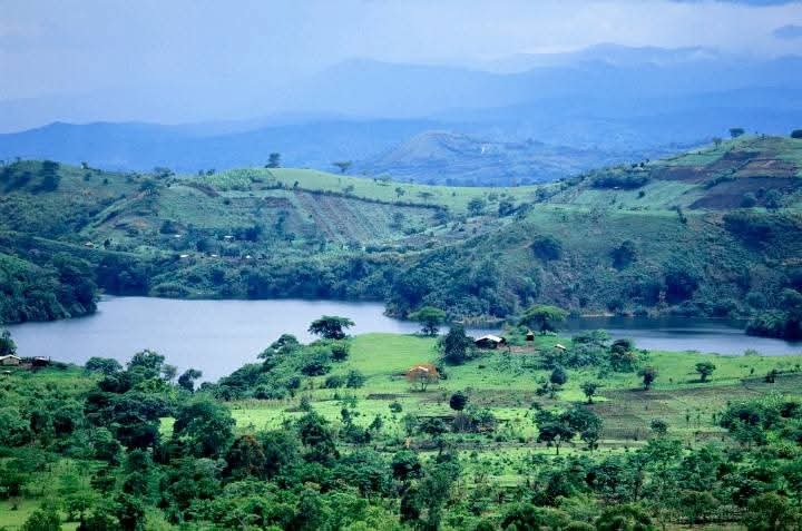 Birding safari Uganda