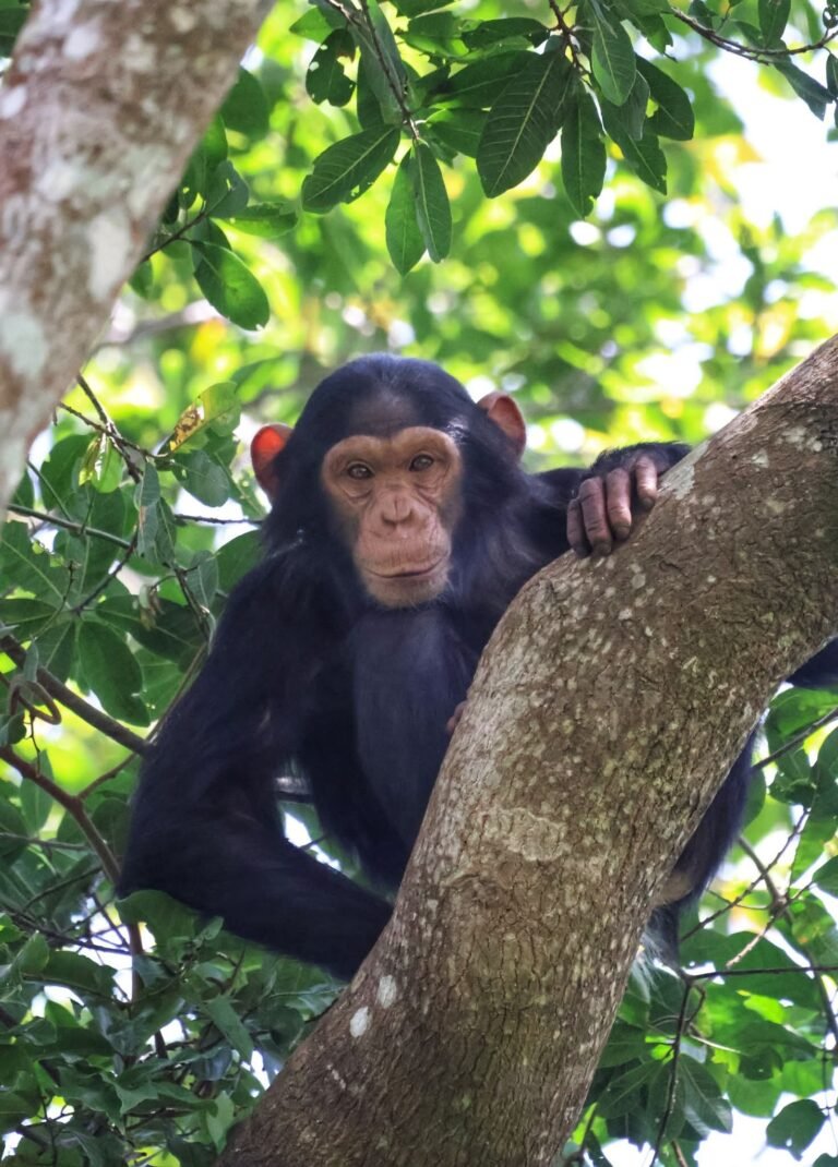 Western Uganda impact tour