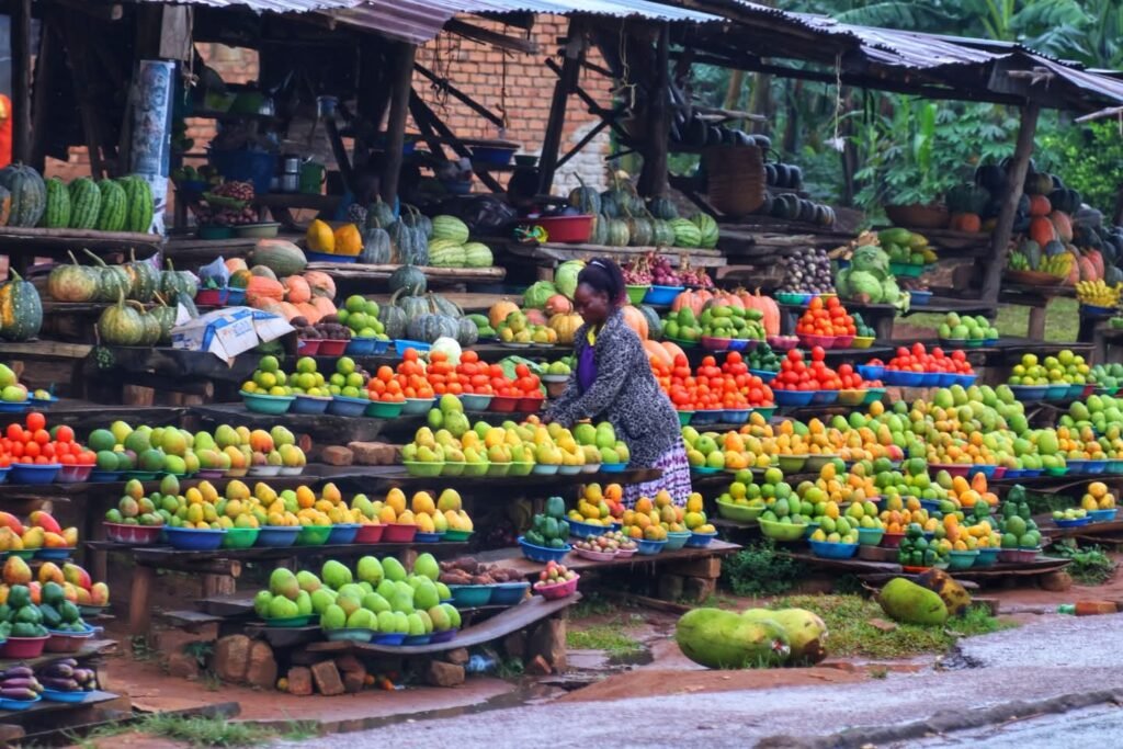 Uganda safari packing list