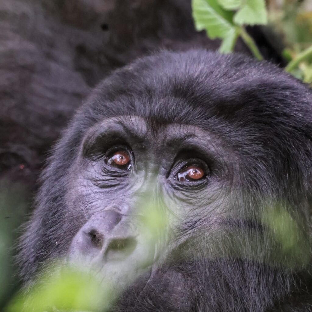 Holidays in Uganda