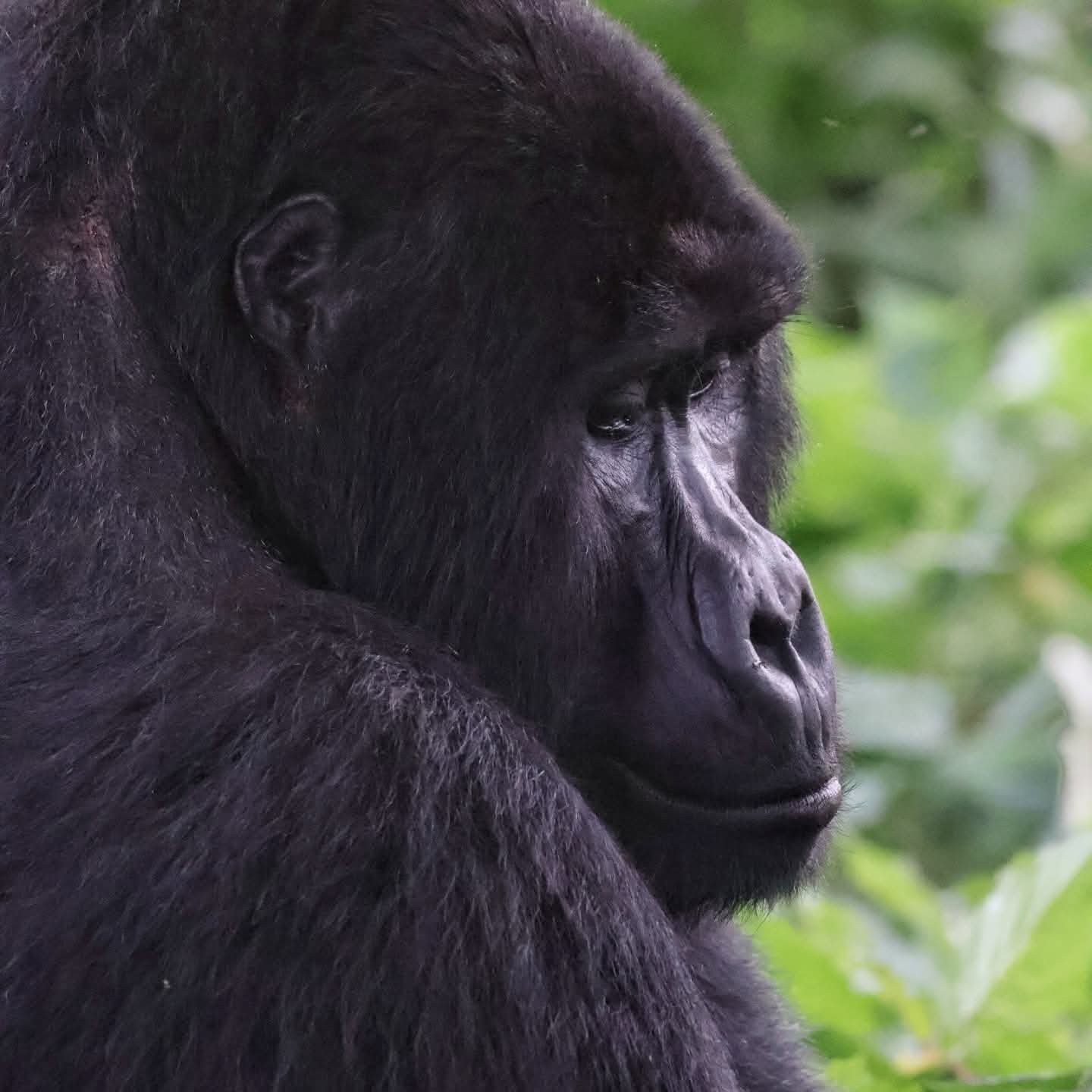 Festive Season Gateways