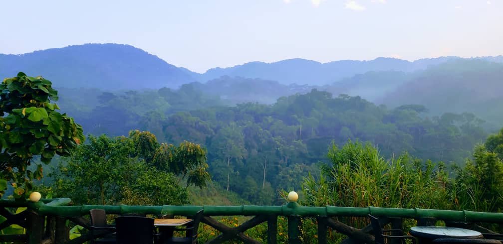 Uganda safari lodges – Bwindi Impenetrable National Park rainforest mist