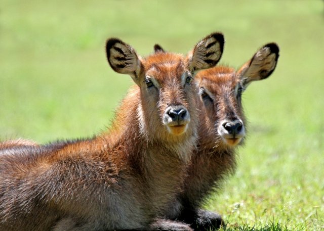 Adventure Travel Uganda