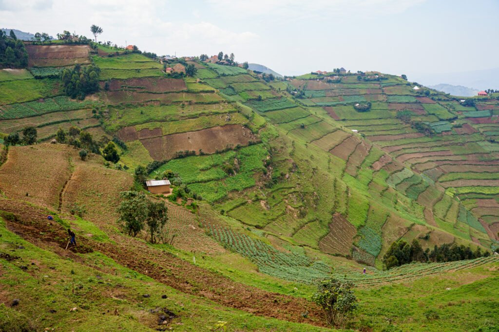 Eco friendly tours in Uganda