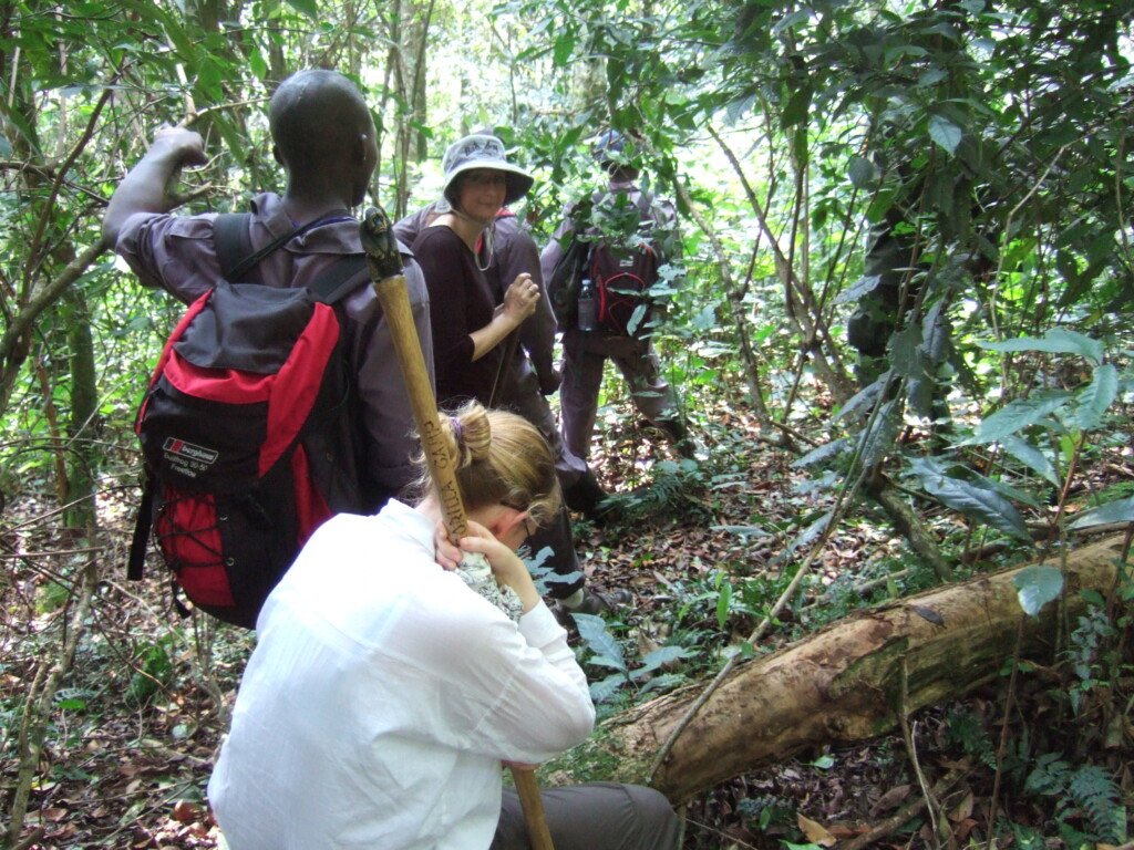 Kyambura Gorge chimpanzee trekking Uganda