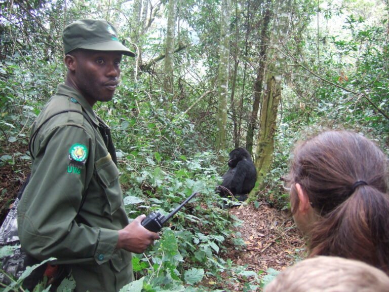 Gorilla Trekking in Uganda and Rwanda