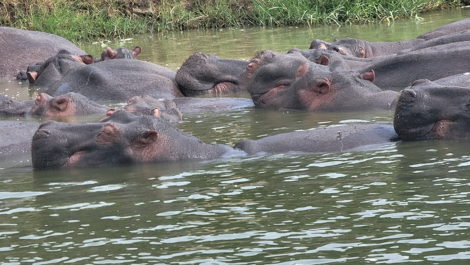 Akagera national park, Rwanda