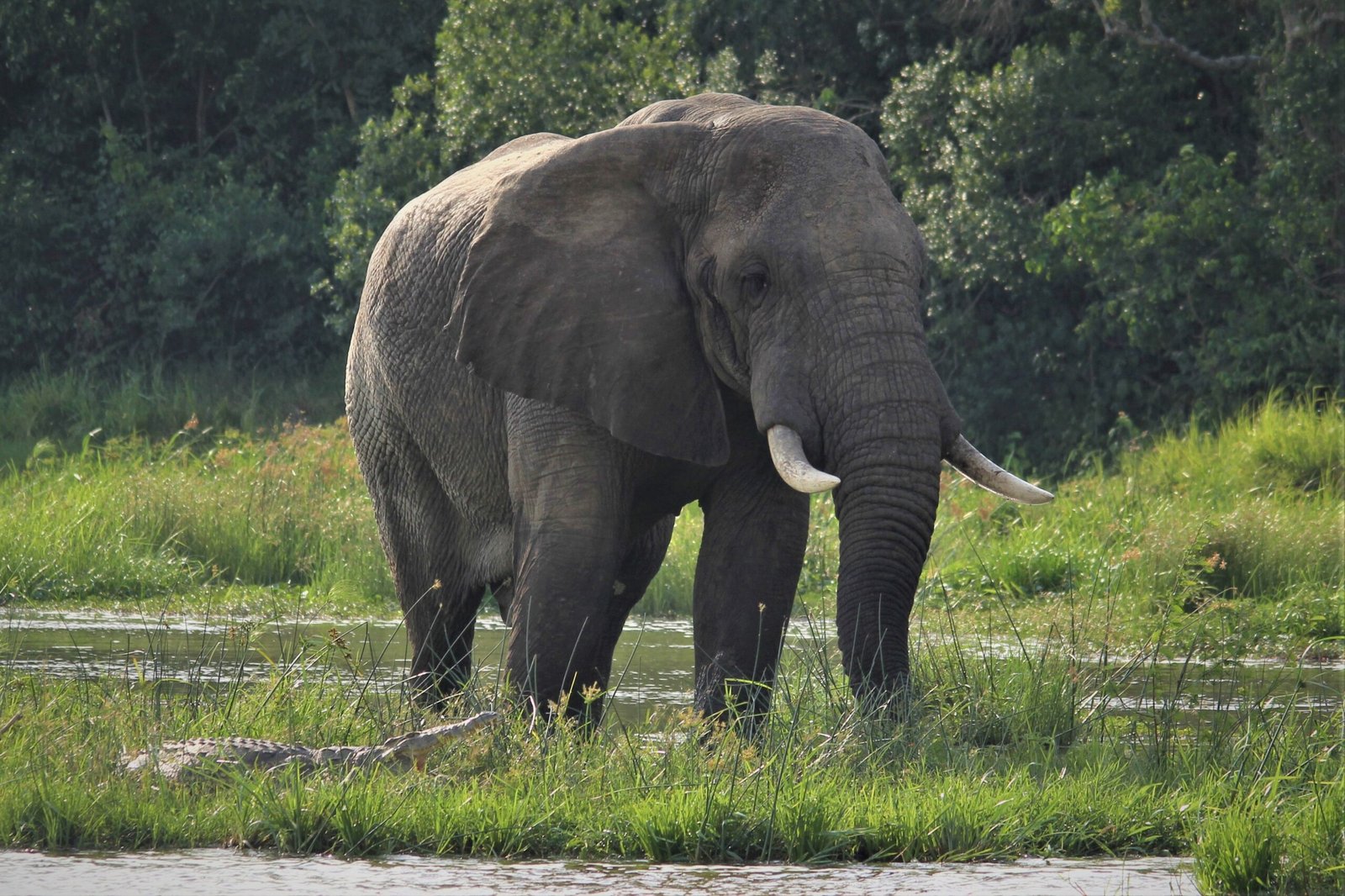 Is it safe to travel to Uganda and Rwanda