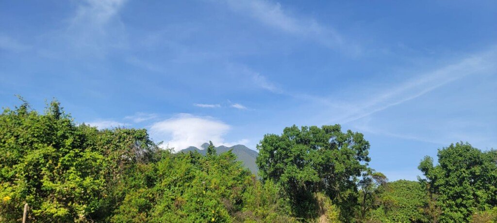 Mgahinga Gorilla National Park vs Rwanda Gorilla Trekking mountain gorilla safari