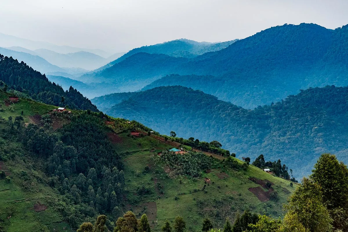 gorilla trekking cost Uganda