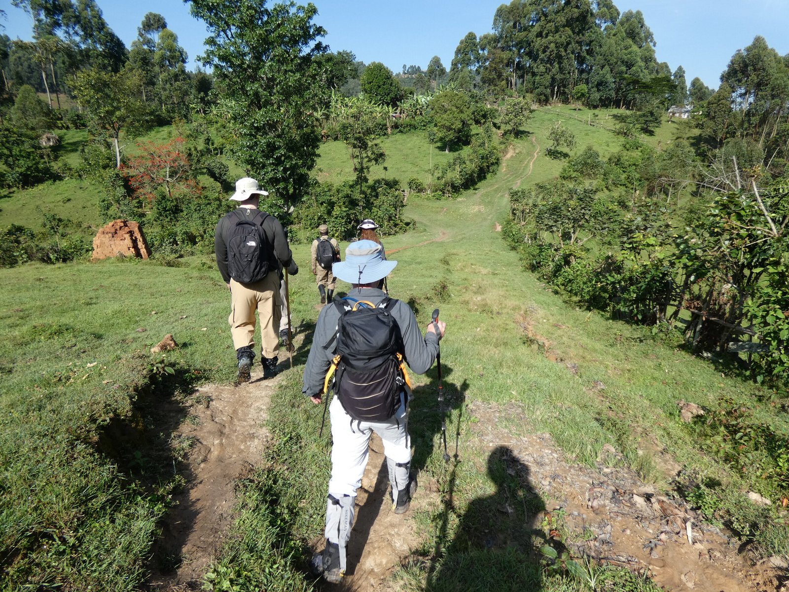 Uganda gorilla trekking travel insurance