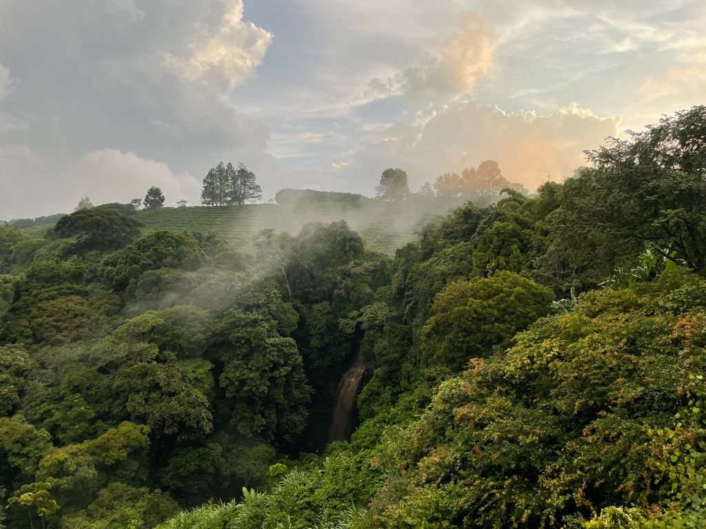 visit Bwindi in July