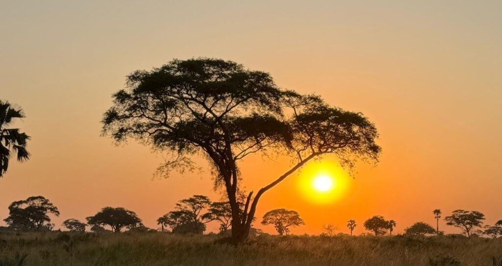 Uganda travel