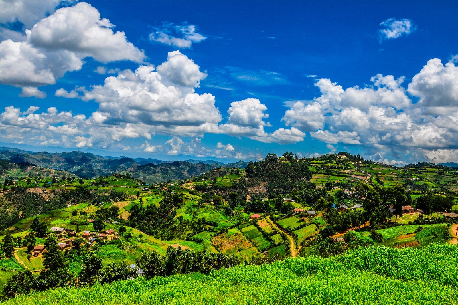 10 day Uganda road trip itinerary