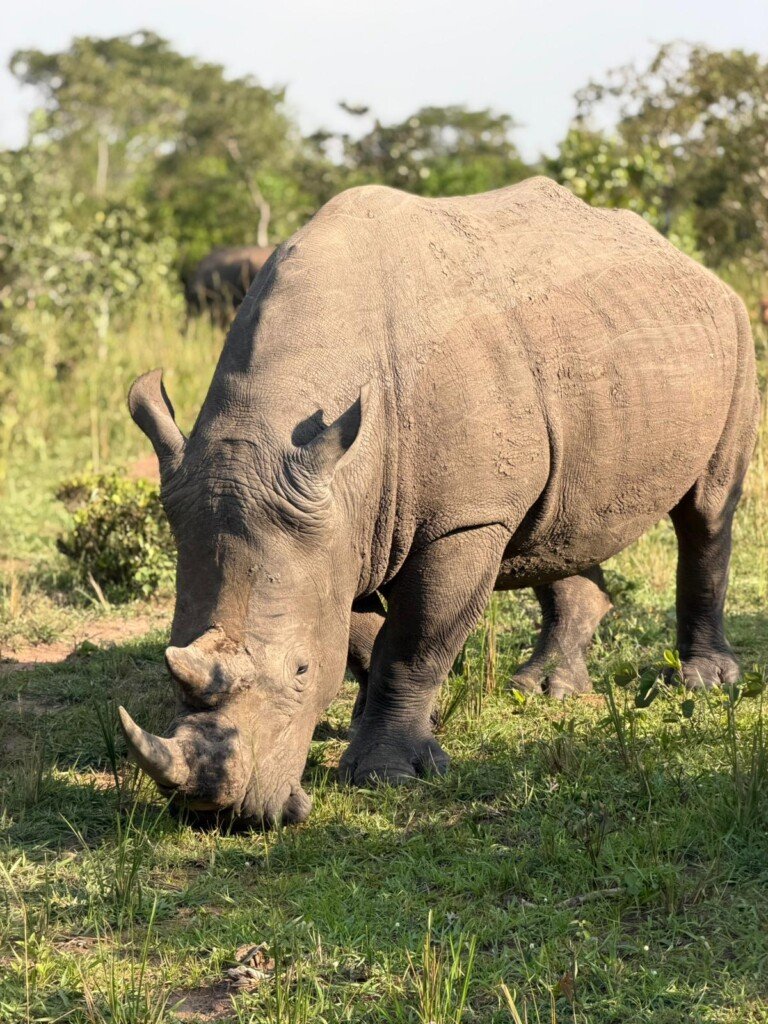 Ziwa Rhino Tracking